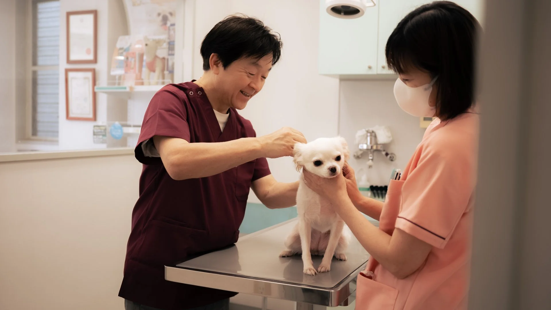 動物用の予防ケアに使う注射器と診療器具を台に並べた様子